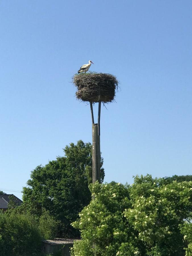 Kloster Wulfshagen Landhaus Zum Storchennest מראה חיצוני תמונה